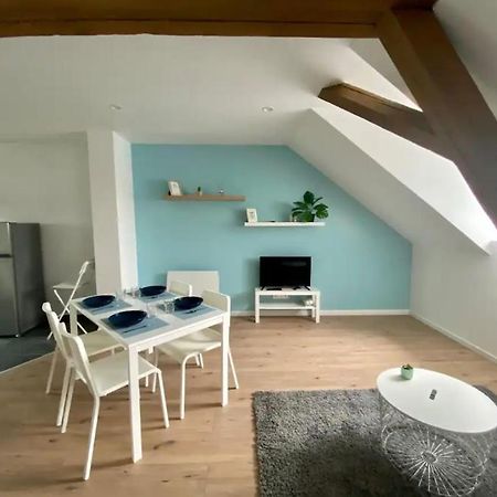 Studio Cosy Comme A La Maison Mulhouse Dış mekan fotoğraf