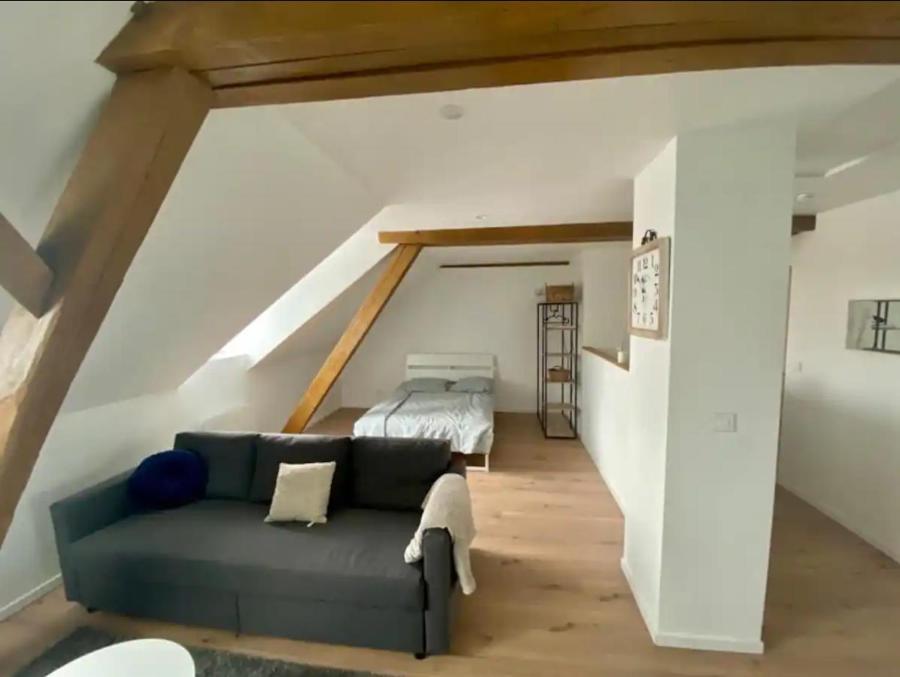Studio Cosy Comme A La Maison Mulhouse Dış mekan fotoğraf